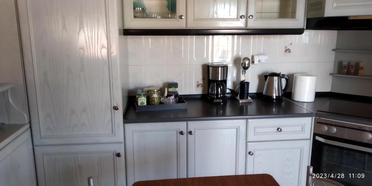 Toula Apartment Litóchoron Eksteriør billede